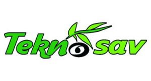 Blog Logo